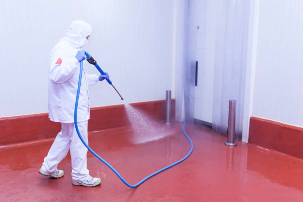 Best Solar Panel Cleaning  in Sackets Harbor, NY